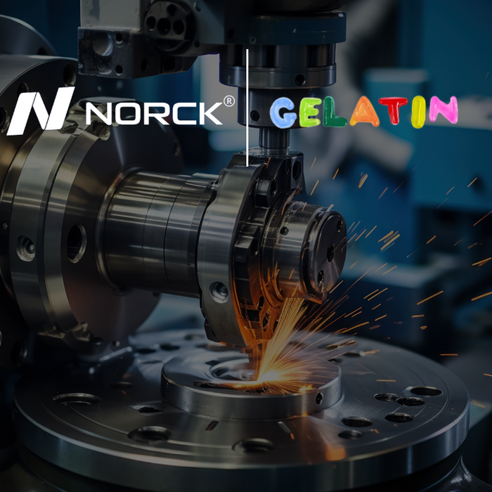GELATIN – Partnering for Innovation and Excellence with Norck